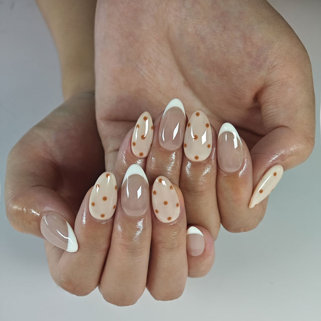 French with Brown Dots
