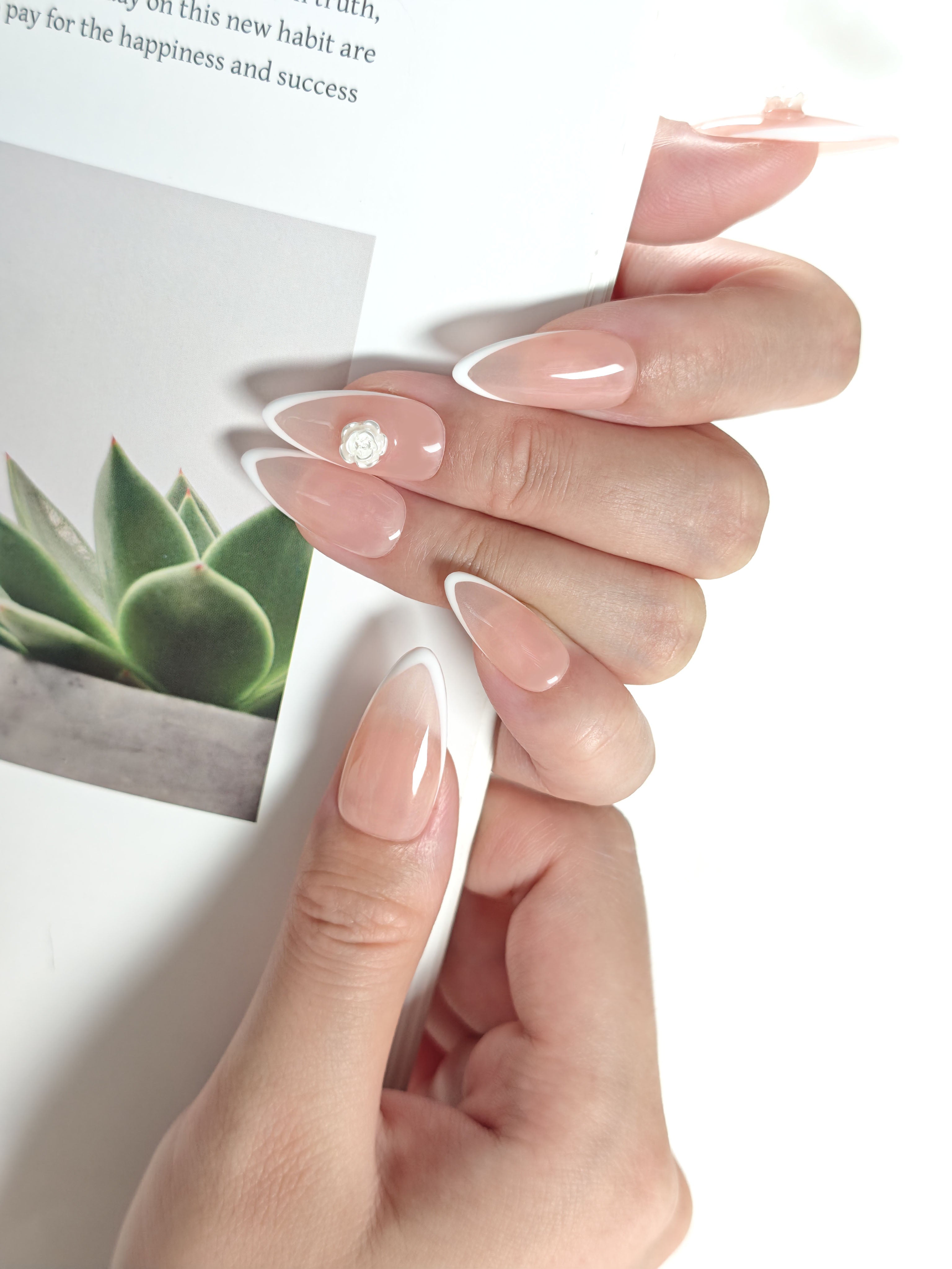 Camellia with V-Cut